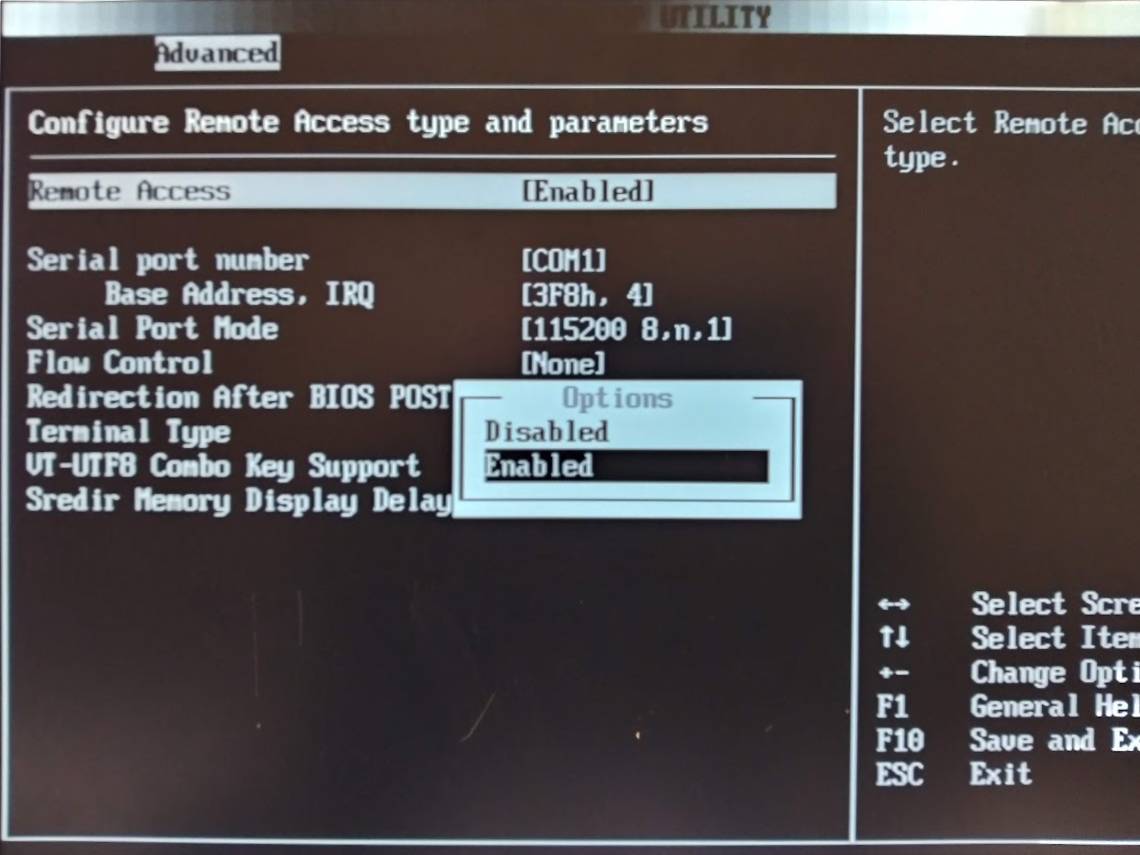 BIOS_remote_access1